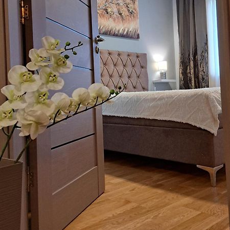 Apartman 49 ซูโบติกา ภายนอก รูปภาพ