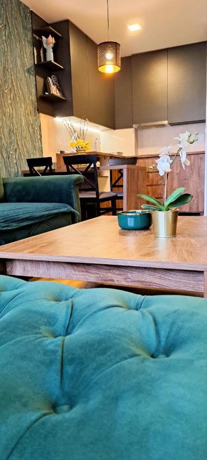 Apartman 49 ซูโบติกา ภายนอก รูปภาพ